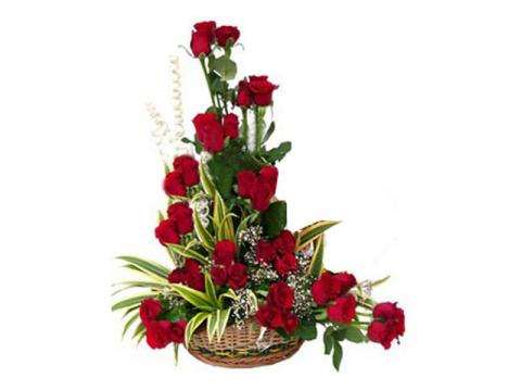 You & Me Arrangement Red rose arrangement for love & romance — Flower Empire Aurora florist serving Scarborough