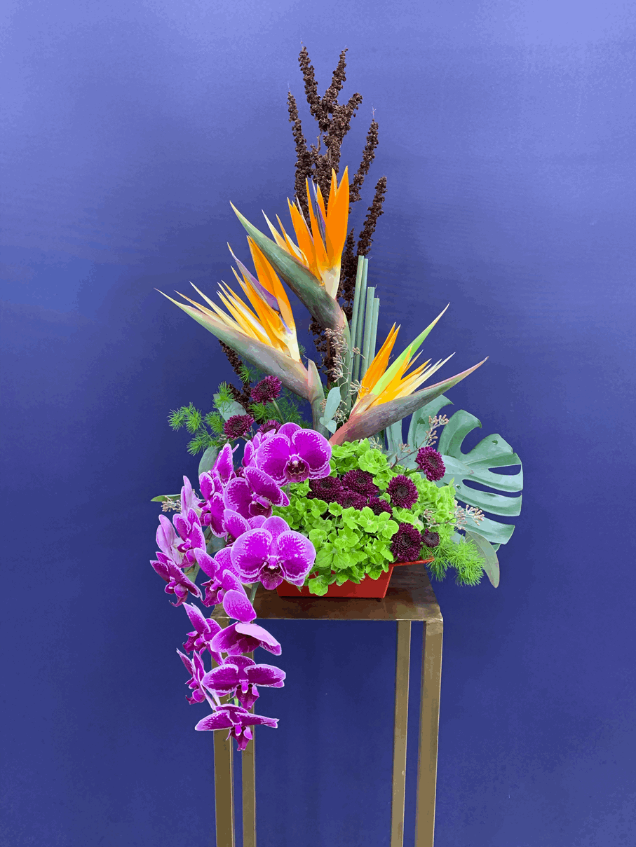 Best of Luck Arrangement