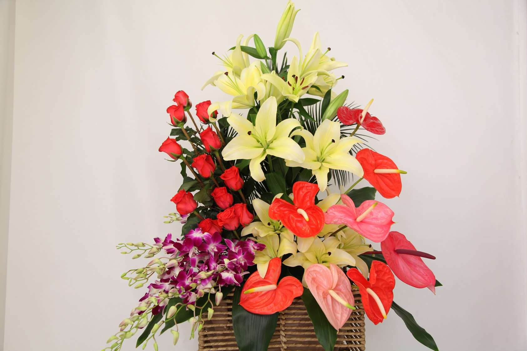 Brightest Sentiments Arrangement Mixed Color orchid arrangement for congratulations — Flower Empire Aurora florist serving Va