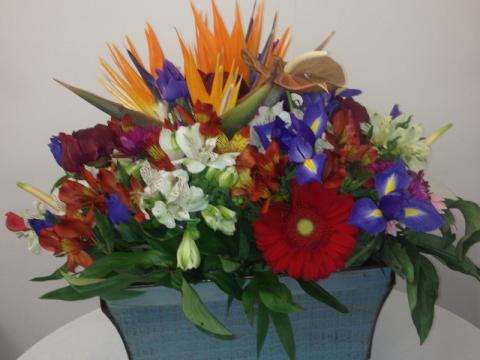 Cheerful Gerbera Bouquet