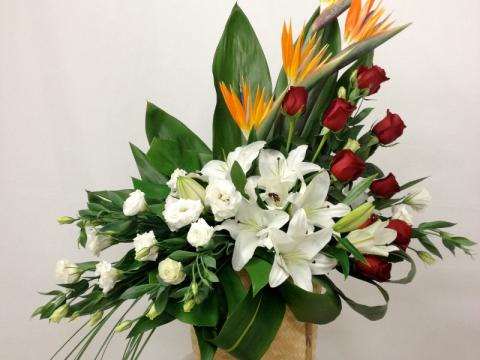 Product-175 Red rose floral arrangement for say "i'm sorry" — Flower Empire Aurora florist serving Vaughan
