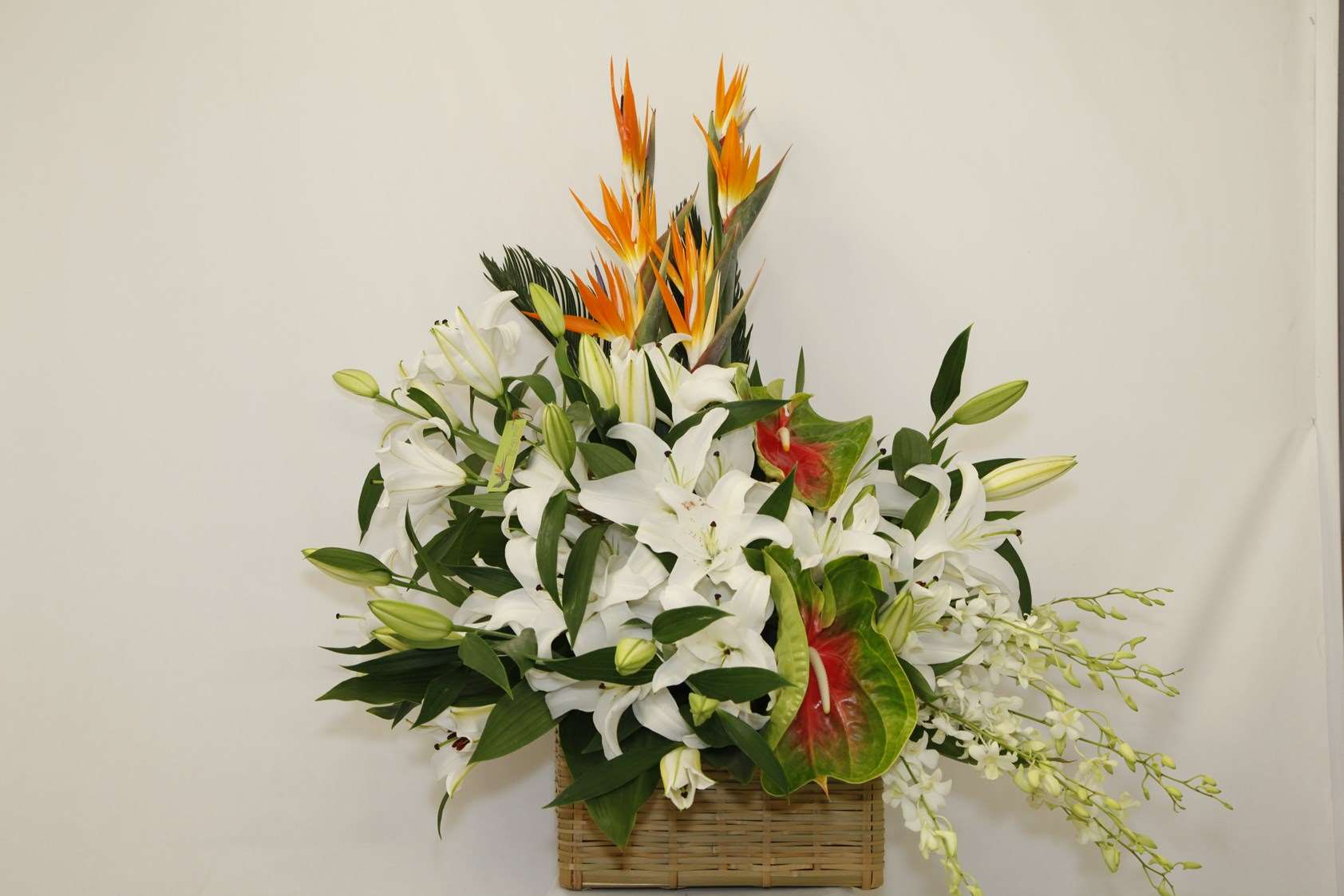 Elegant and Rich Arrangement orchid arrangement for congratulations — Flower Empire Aurora florist serving Vaughan