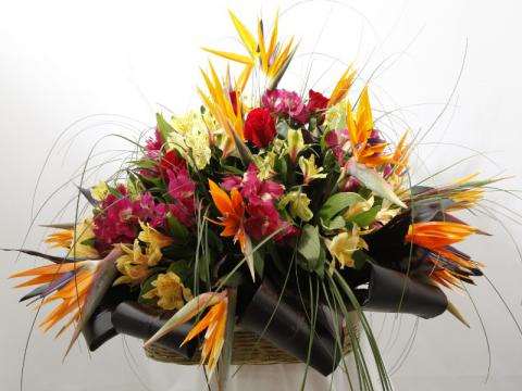 Sincere Rose Bouquet