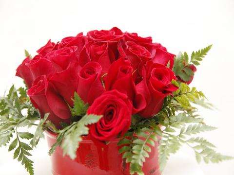 Our Love Arrangement