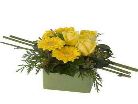 Little Surprise Yellow rose floral arrangement for birthday — Flower Empire Aurora florist serving Etobicoke
