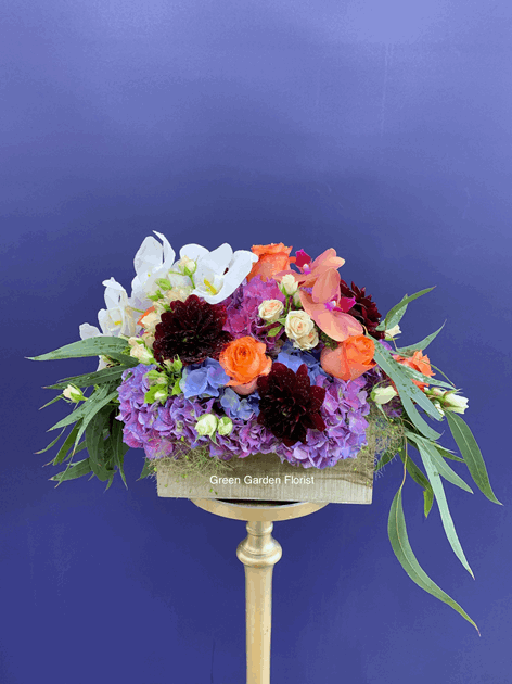 Cool and Spicy Arrangement Blue orchid arrangement for birthday — Flower Empire Aurora florist serving Richmond Hill