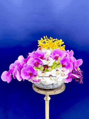 Beyond Belief Arrangement orchid arrangement for anniversary — Flower Empire Aurora florist serving Aurora