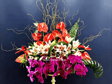Shine Out Arrangement orchid arrangement for congratulations — Flower Empire Aurora florist serving Etobicoke