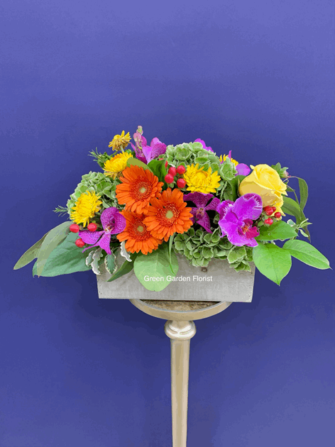 Stay Strong Arrangement Purple orchid arrangement for birthday — Flower Empire Aurora florist serving Toronto