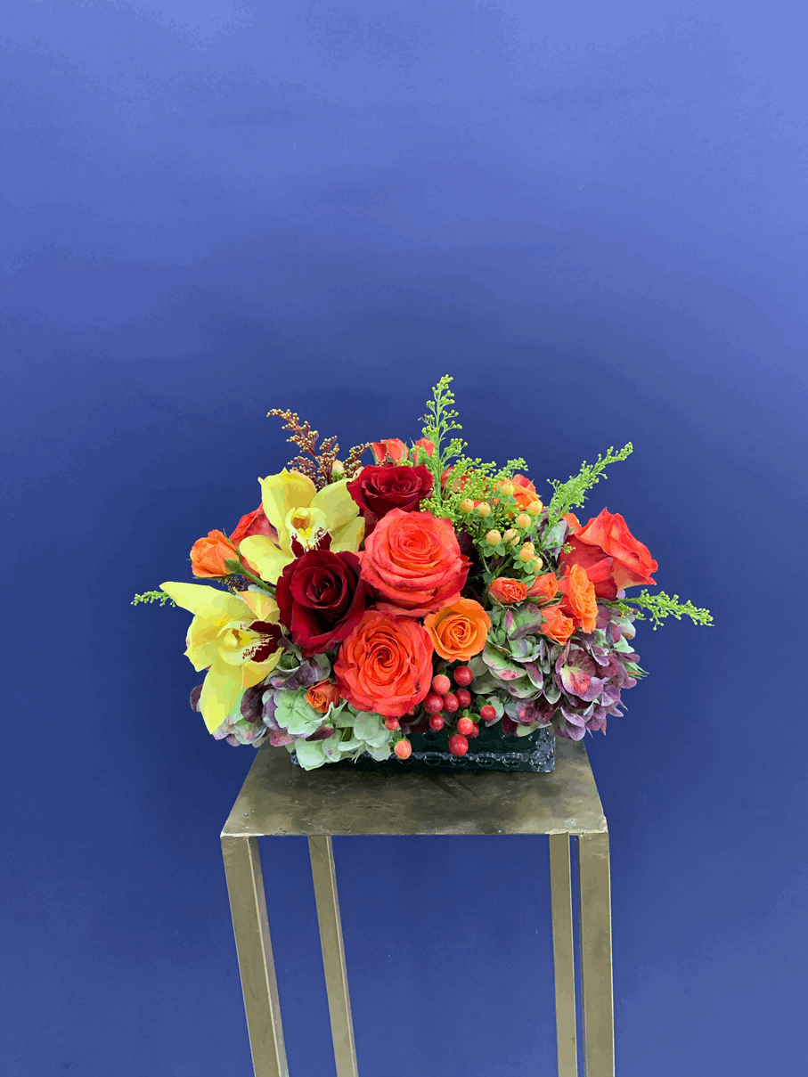 Love shine arrangement orchid arrangement for love & romance — Flower Empire Aurora florist serving Burlington