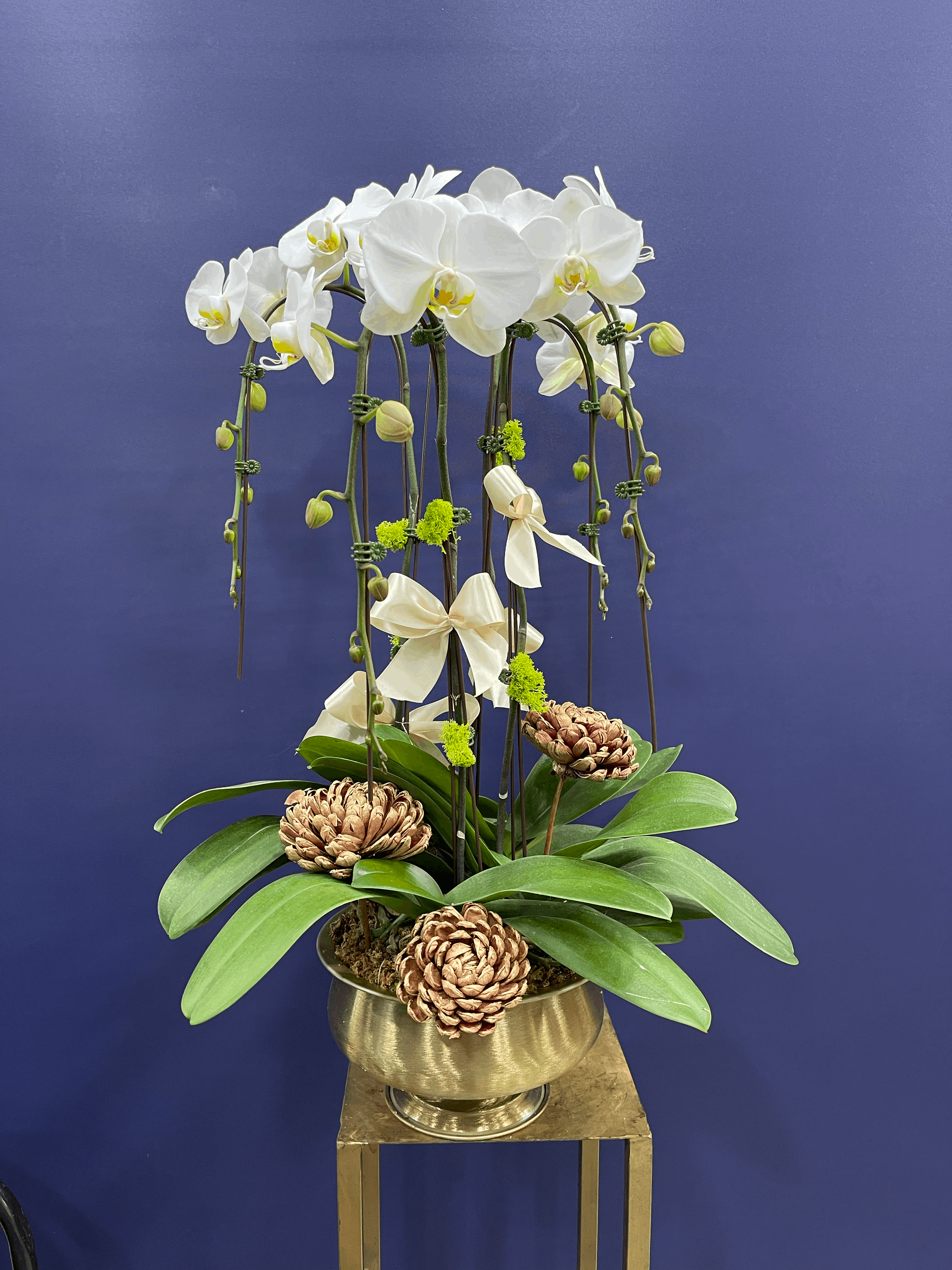 White Orchid Planter White orchid planter for anniversary — Flower Empire Aurora florist serving North York