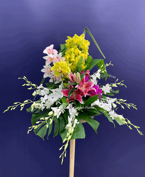 Orchid Lover Arrangement orchid arrangement for love & romance — Flower Empire Aurora florist serving Etobicoke