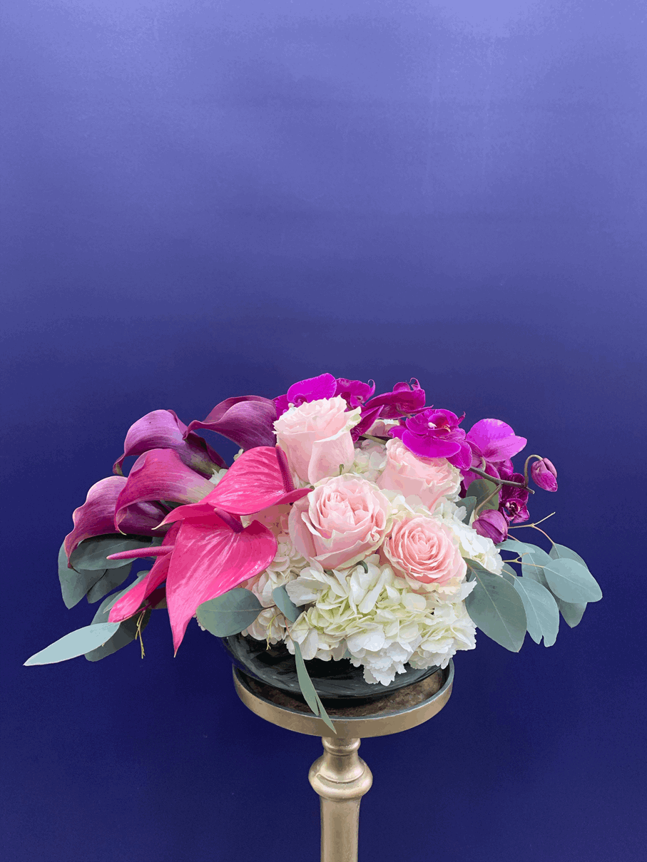 Purple River Arrangement White orchid arrangement for anniversary — Flower Empire Aurora florist serving Richmond Hill