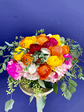 Rainbow Dash Arrangement Mixed Color hydrangea arrangement for anniversary — Flower Empire Aurora florist serving Newmarket