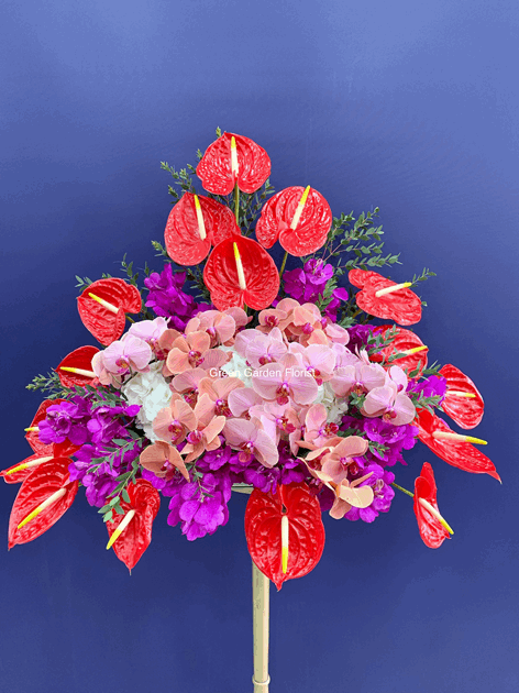 Luxurious Anthuriums and Orchid Arrangement orchid arrangement for birthday — Flower Empire Aurora florist serving Mississaug