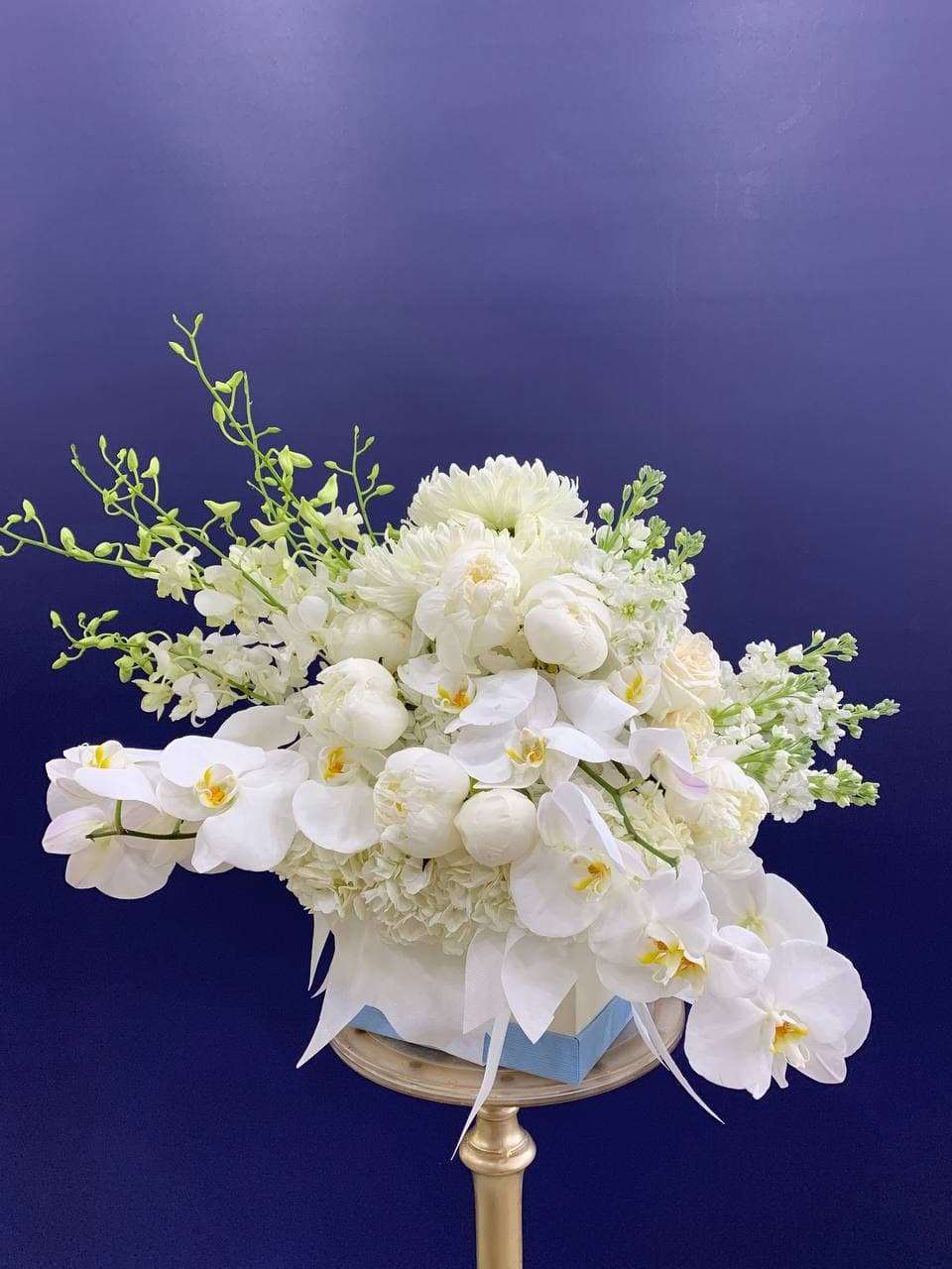 Flawless Box Arrangement White orchid box arrangement for anniversary — Flower Empire Aurora florist serving Toronto