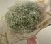 Pure baby's breath bouquet (Gypsophila) wrapped in white and gold paper with pink ribbon streamers — Flower Empire.