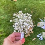 A small cluster of white baby’s breath on a wrapped stem.