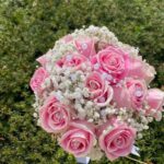 Pink roses with white baby's breath in a rounded bridal bouquet