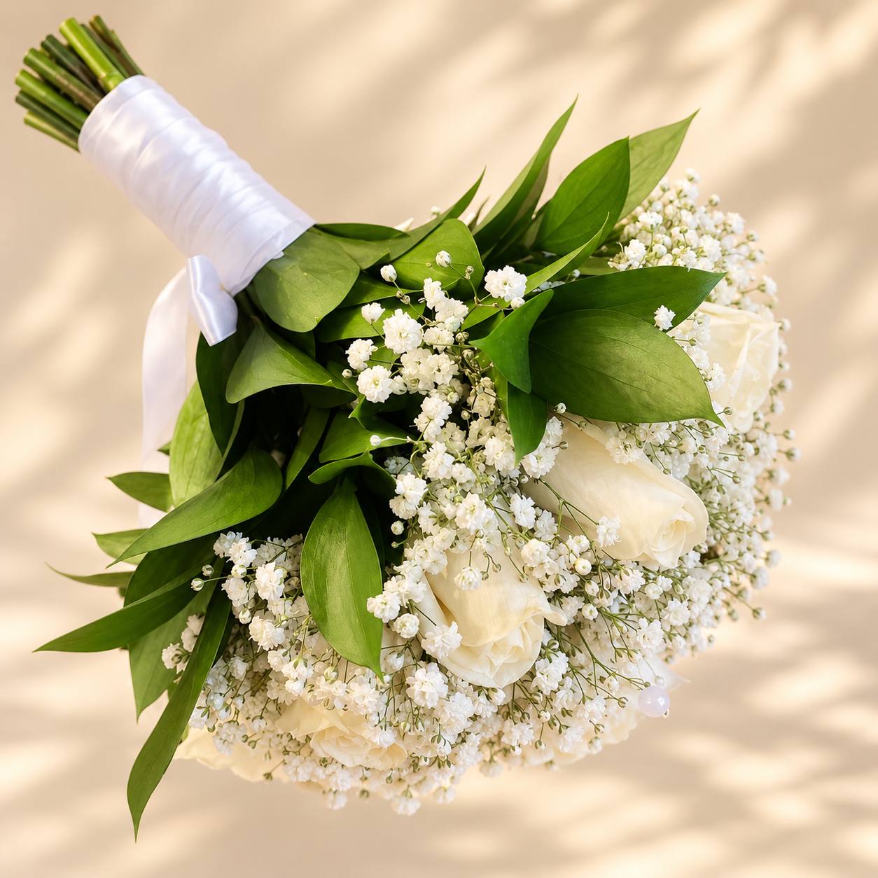 Evergreen Ivory