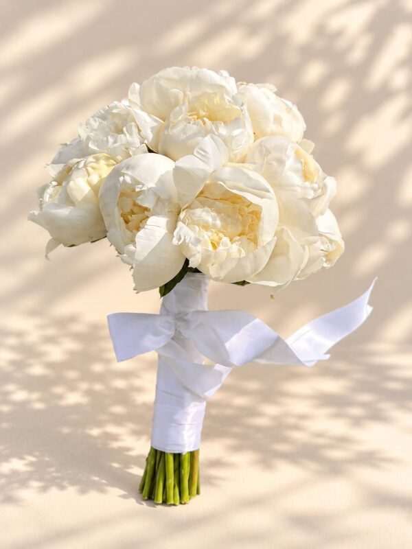 Ivory Promise