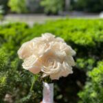 A compact ivory rose posy with a light ribbon finish for the bridal party.