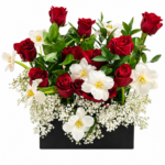 Vivid red rose and white orchid box arrangement on a solid white background
