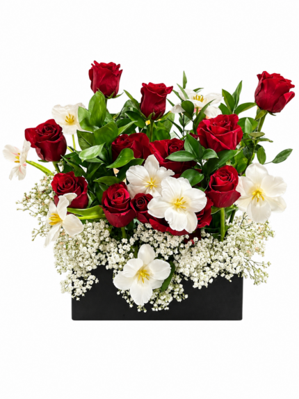 Vivid red rose and white orchid box arrangement on a solid white background
