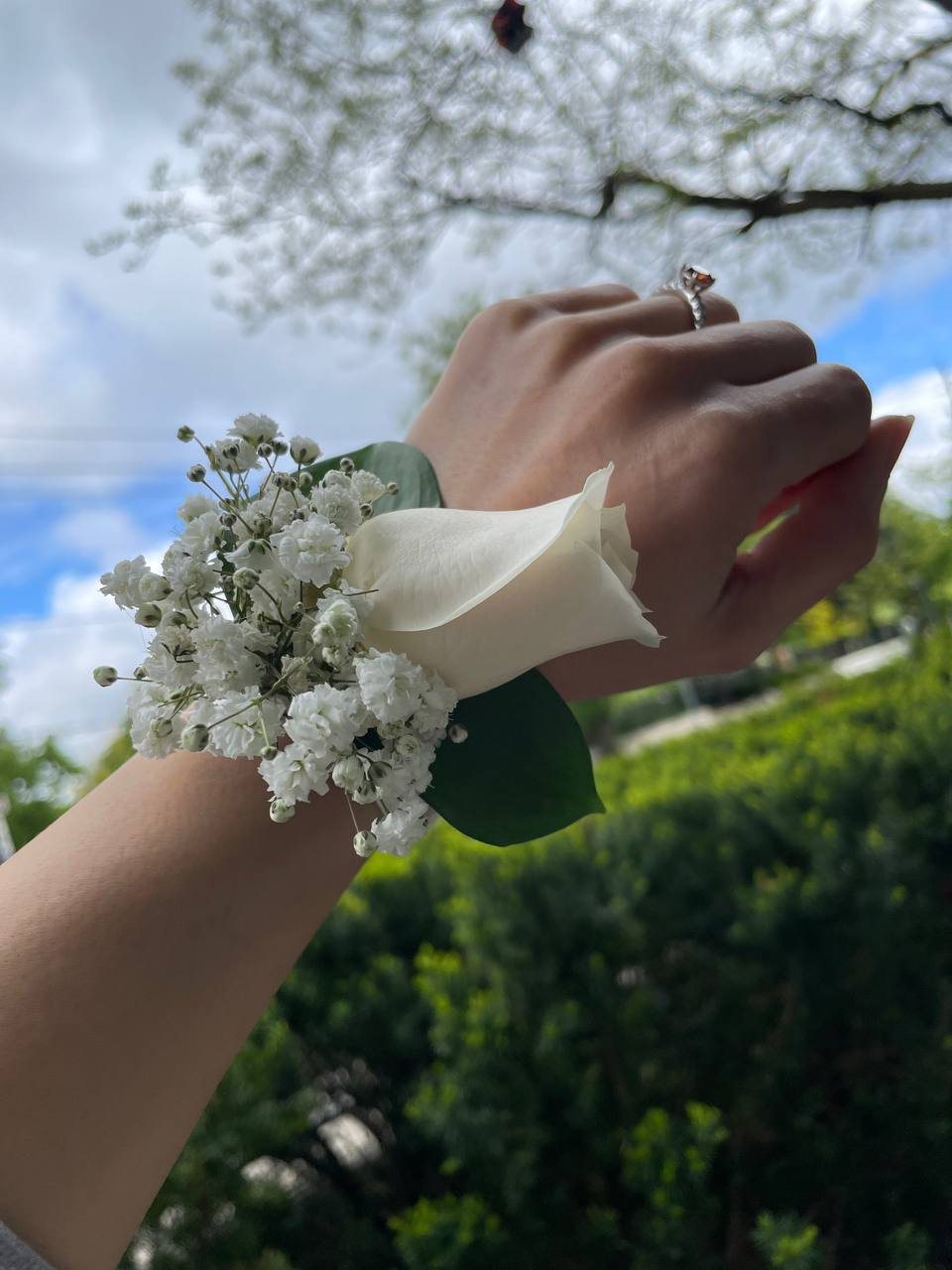 A white rose, baby’s breath and green leaves arranged as a wrist corsage. A white rose, baby’s breath and green leaves arranged as a wrist corsage.